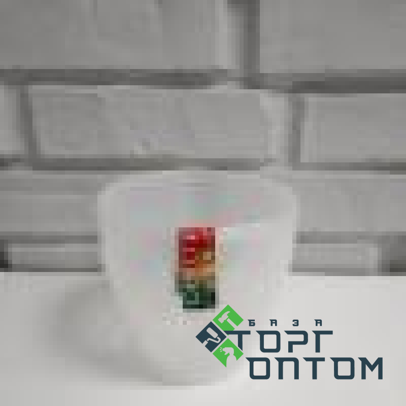 Горшок для цветов с вставкой "DECO TWIN" 1,5л (Орхидея - Прозрачный)