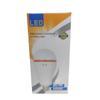 Лампочка 20W LED (на аккумуляторе)